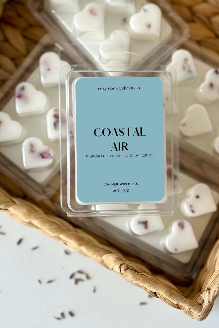 Coastal Air | Summery Wax Melts